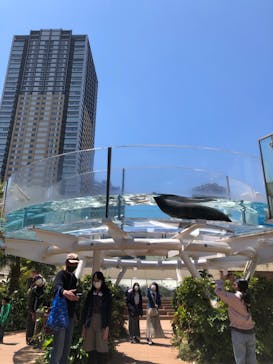 サンシャイン水族館に投稿された画像（2022/5/3）