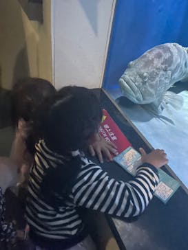 名古屋港水族館に投稿された画像（2022/5/3）