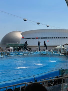 名古屋港水族館に投稿された画像（2022/5/3）