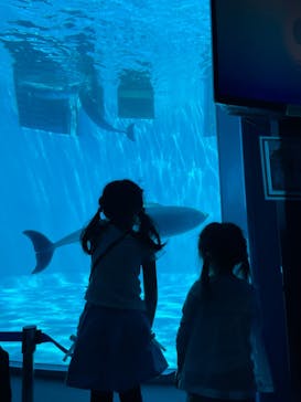 名古屋港水族館に投稿された画像（2022/5/3）