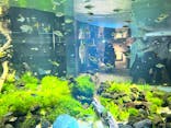 カワスイ 川崎⽔族館に投稿された画像（2022/5/3）