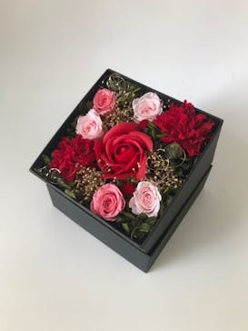 ずこうしつ〜sugamo〜に投稿された画像（2022/5/3）