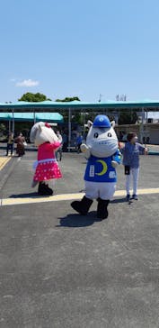 園田競馬場に投稿された画像（2022/5/3）