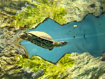 天王寺動物園に投稿された画像（2022/5/3）