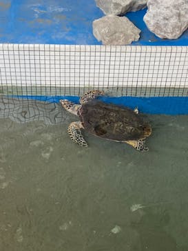 名古屋港水族館に投稿された画像（2022/5/3）