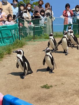 名古屋港水族館に投稿された画像（2022/5/3）