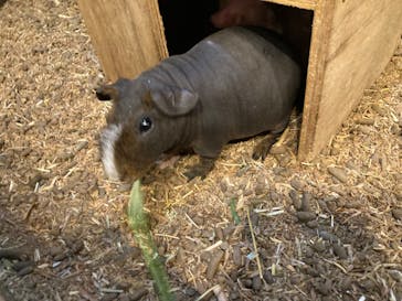 伊豆シャボテン動物公園に投稿された画像（2022/5/3）
