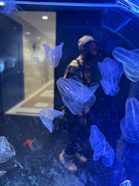 名古屋港水族館に投稿された画像（2022/5/3）