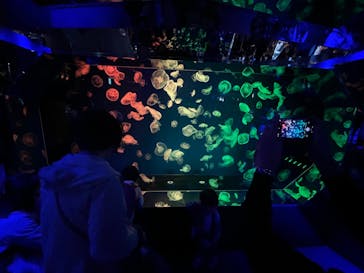 名古屋港水族館に投稿された画像（2022/5/3）