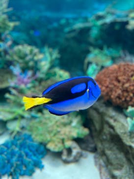 名古屋港水族館に投稿された画像（2022/5/3）