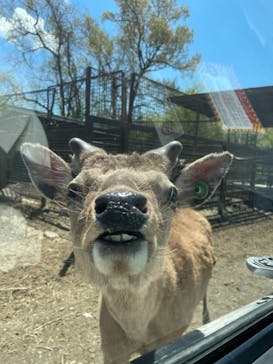 那須サファリパークに投稿された画像（2022/5/3）