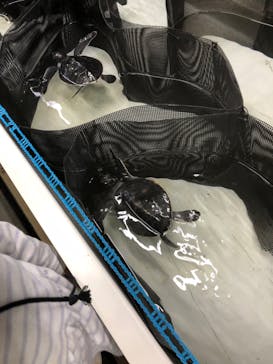 南知多ビーチランド＆南知多おもちゃ王国に投稿された画像（2022/5/3）