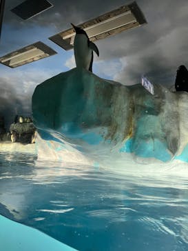 名古屋港水族館に投稿された画像（2022/5/3）