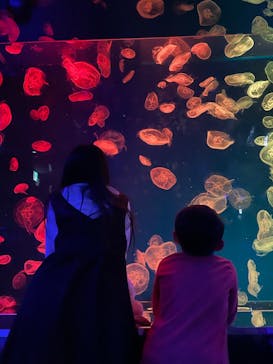 名古屋港水族館に投稿された画像（2022/5/3）