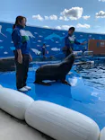 仙台うみの杜水族館に投稿された画像（2022/5/3）