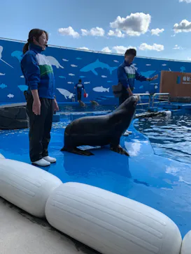 仙台うみの杜水族館に投稿された画像（2022/5/3）