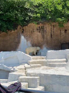 天王寺動物園に投稿された画像（2022/5/3）
