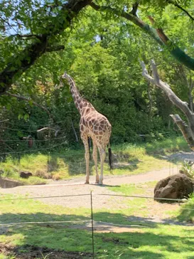 天王寺動物園に投稿された画像（2022/5/3）
