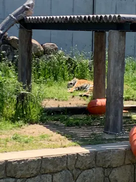 天王寺動物園に投稿された画像（2022/5/3）