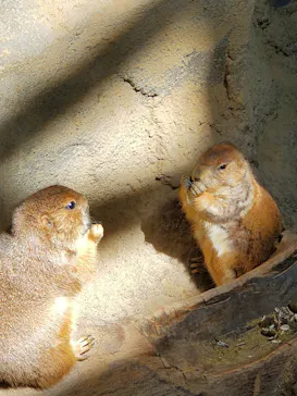 神戸どうぶつ王国に投稿された画像（2022/5/3）