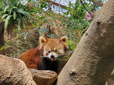 神戸どうぶつ王国に投稿された画像（2022/5/3）