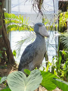 神戸どうぶつ王国に投稿された画像（2022/5/3）