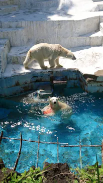 天王寺動物園に投稿された画像（2022/5/3）