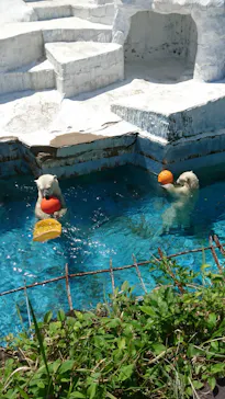 天王寺動物園に投稿された画像（2022/5/3）