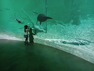 カワスイ 川崎⽔族館に投稿された画像（2022/5/3）