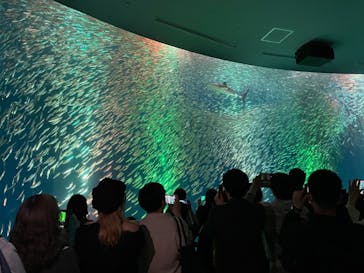 名古屋港水族館に投稿された画像（2022/5/3）
