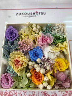 ずこうしつ〜sugamo〜に投稿された画像（2022/5/3）