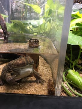 サンシャイン水族館に投稿された画像（2022/5/3）