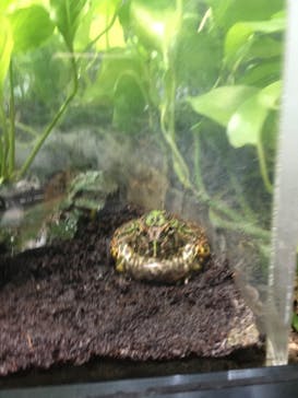 サンシャイン水族館に投稿された画像（2022/5/3）