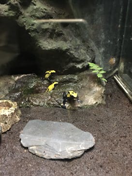 サンシャイン水族館に投稿された画像（2022/5/3）