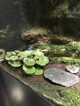 サンシャイン水族館に投稿された画像（2022/5/3）