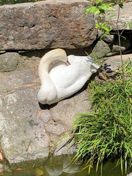 長崎バイオパークに投稿された画像（2022/5/3）