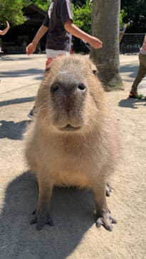 長崎バイオパークに投稿された画像（2022/5/3）