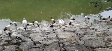 ネオパークオキナワに投稿された画像（2022/5/3）