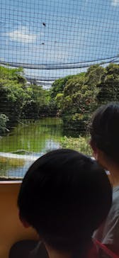 ネオパークオキナワに投稿された画像（2022/5/3）