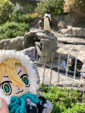 サンシャイン水族館に投稿された画像（2022/5/3）