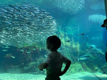 九十九島水族館海きららに投稿された画像（2022/5/3）