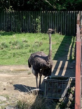 東武動物公園に投稿された画像（2022/5/3）