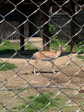 東武動物公園に投稿された画像（2022/5/3）