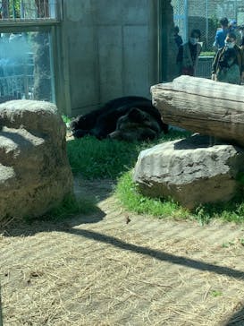 東武動物公園に投稿された画像（2022/5/3）