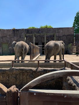 東武動物公園に投稿された画像（2022/5/3）