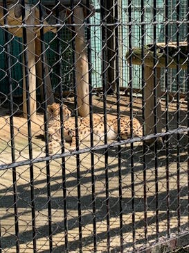 東武動物公園に投稿された画像（2022/5/3）