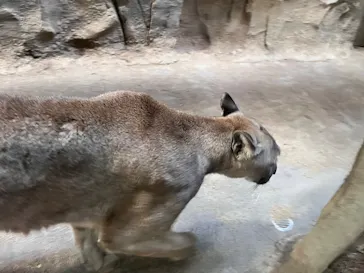 神戸どうぶつ王国に投稿された画像（2022/5/3）