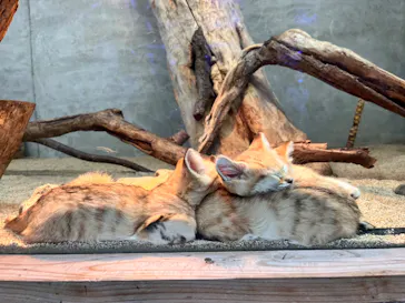 神戸どうぶつ王国に投稿された画像（2022/5/3）