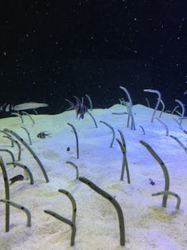 株式会社Gに投稿された画像（2022/5/3）