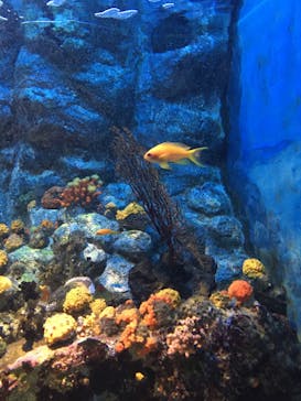 株式会社Gに投稿された画像（2022/5/3）